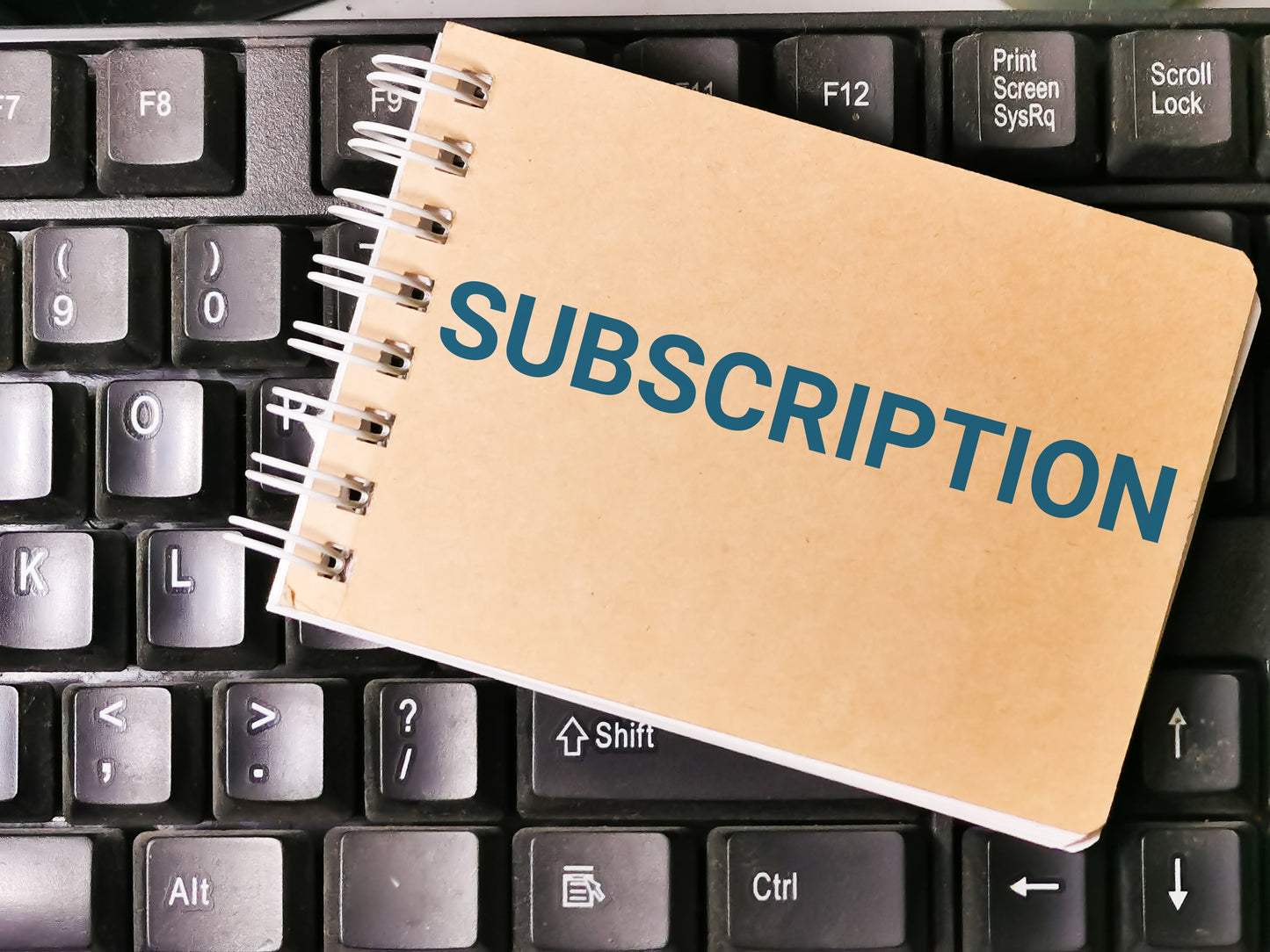 Rental Toy Monthly Subscription