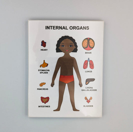 Internal Organ Puzzle